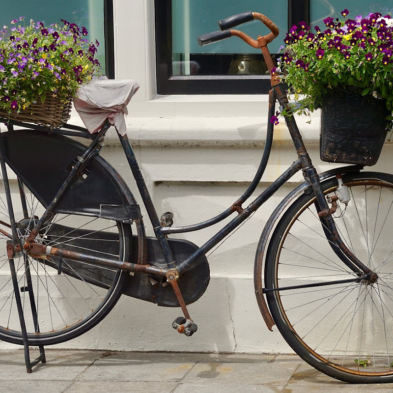 Le Biciclette di Viale Montegrappa