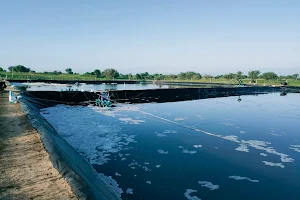 PARJAPAT SHRIMP FARM image