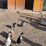 Photo n° 6 de l'avis de Thierry.i fait le 02/11/2023 à 03:13 pour La Ferme de Fanny à Montélimar