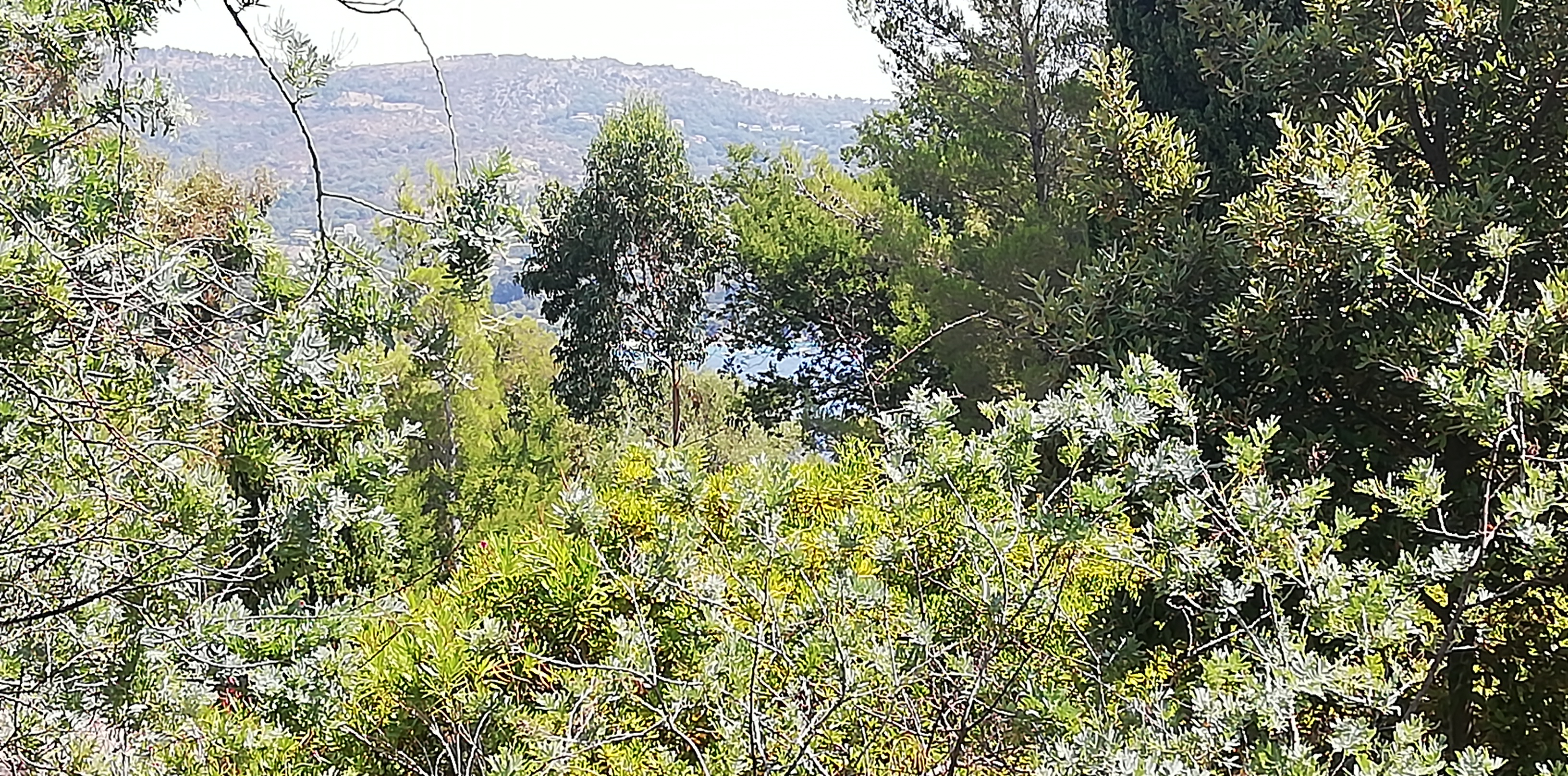 Photo n° 28 de l'avis de manu624000. fait le 05/08/2019 à 12:10