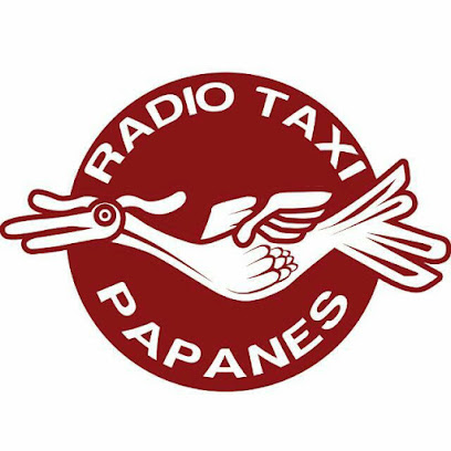 Radio Taxi Papanes A.C.