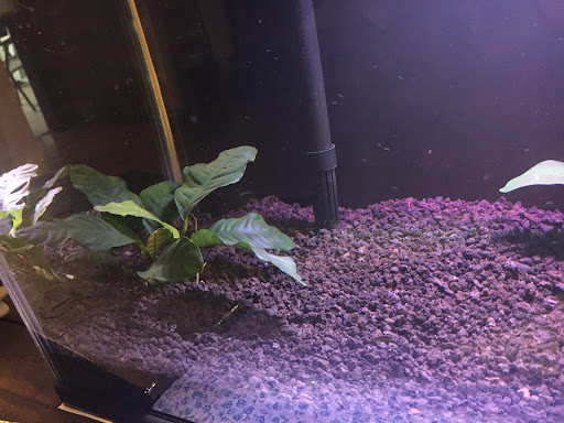 Pet Supply Store «Sunflower Natural Pet Supplies», reviews and photos, 514 Pillsbury Dr, Manhattan, KS 66502, USA