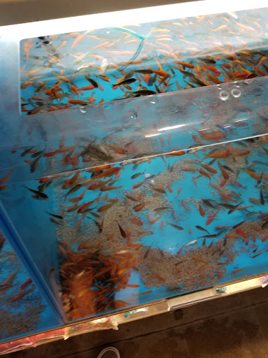 Pet Supply Store «PetSmart», reviews and photos, 860 NE Mall Blvd, Hurst, TX 76053, USA