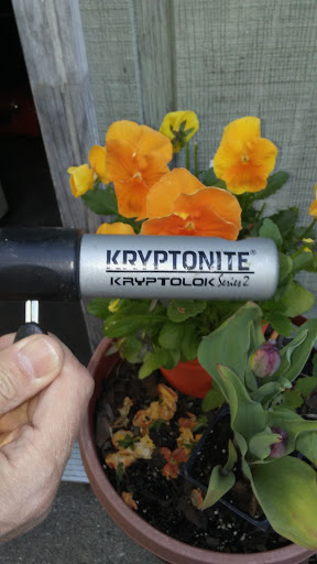 Bicycle Store «American Cycle & Fitness - The Trek Bicycle Stores of Michigan», reviews and photos, 29428 Woodward Ave, Royal Oak, MI 48073, USA