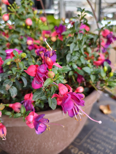 Home Improvement Store «The Home Depot», reviews and photos, 15220 Creosote Rd, Gulfport, MS 39503, USA