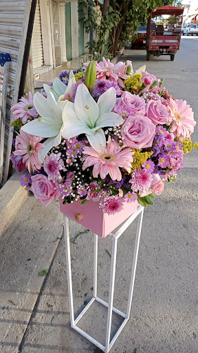 Florería gardenia – Tepalcatepec
