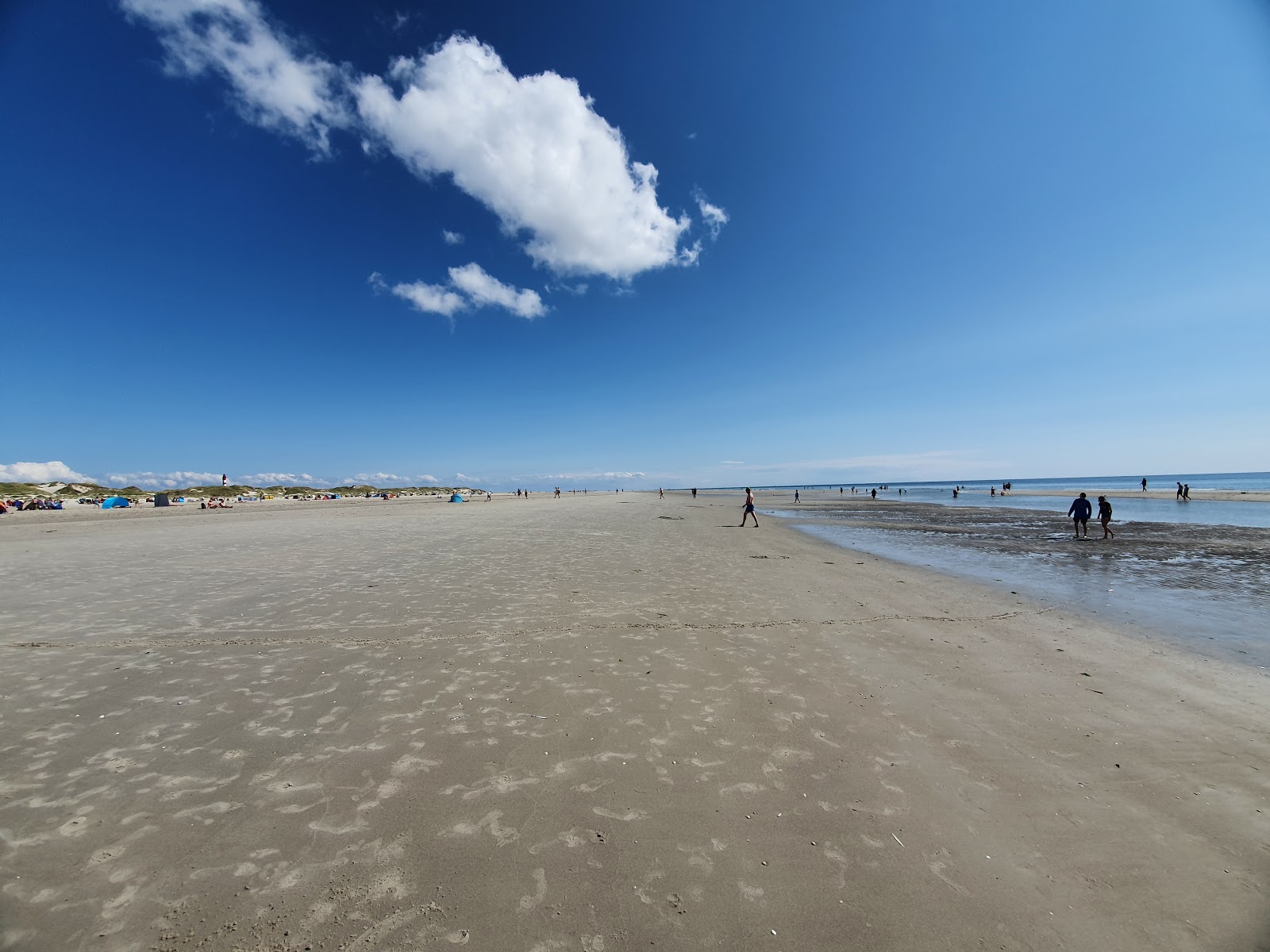 Photo de Kniepsand avec sable lumineux de surface