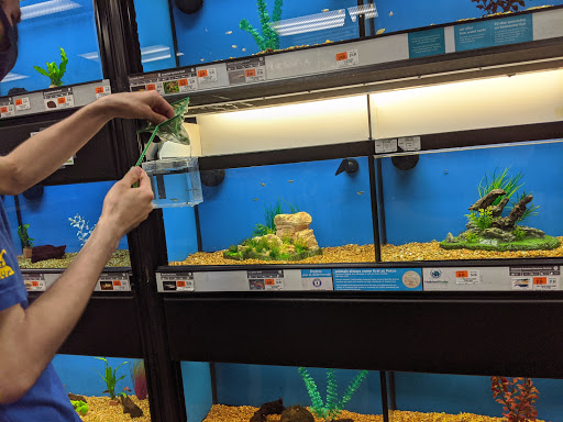 Pet Supply Store «Petco Animal Supplies», reviews and photos, 304 Western Ave, Brighton, MA 02135, USA