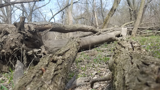 Nature Preserve «Forest Preserves of Cook County», reviews and photos, 9460 S Dee Rd, Park Ridge, IL 60068, USA