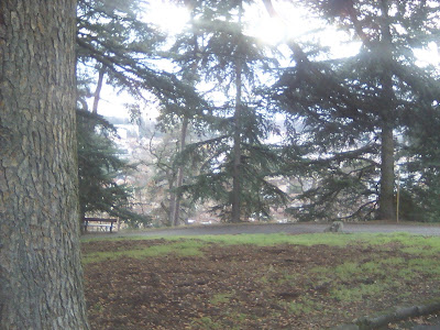 ECohlCité à Oullins-Pierre-Bénite