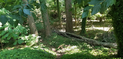 Historical Place «Hadrosaurus Foulki Leidy Site», reviews and photos, Maple Ave, Haddonfield, NJ 08033, USA