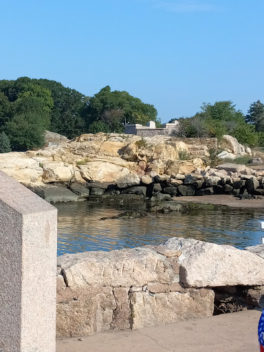 Park «Branford Point», reviews and photos, 4 Harbor St, Branford, CT 06405, USA