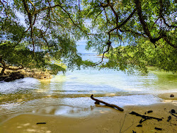 Photo de Piscina Beach zone sauvage