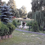 Photo n°1 de l'avis de Niki.c fait le 29/06/2018 à 20:11 sur le  Gaststätte Pfauengarten à Stödtlen