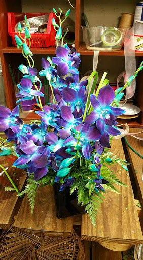 Florist «Fort Myers Flower House», reviews and photos, 3441 Fowler St, Fort Myers, FL 33901, USA