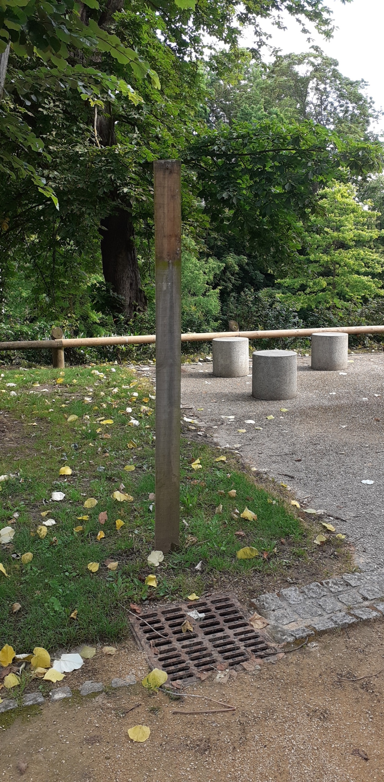 Photo n° 2 de l'avis de Mégane.e fait le 06/07/2021 à 07:11