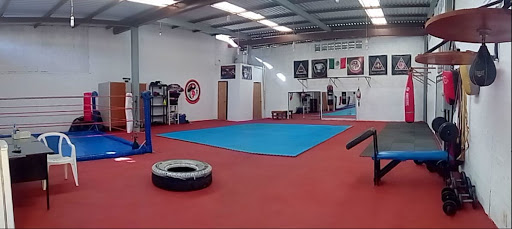 Club de artes marciales Mérida