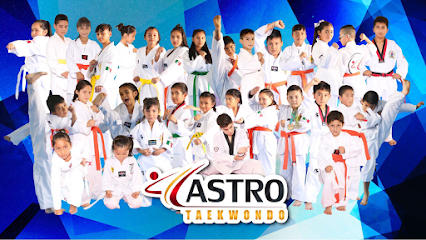 Taekwondo Castro Team