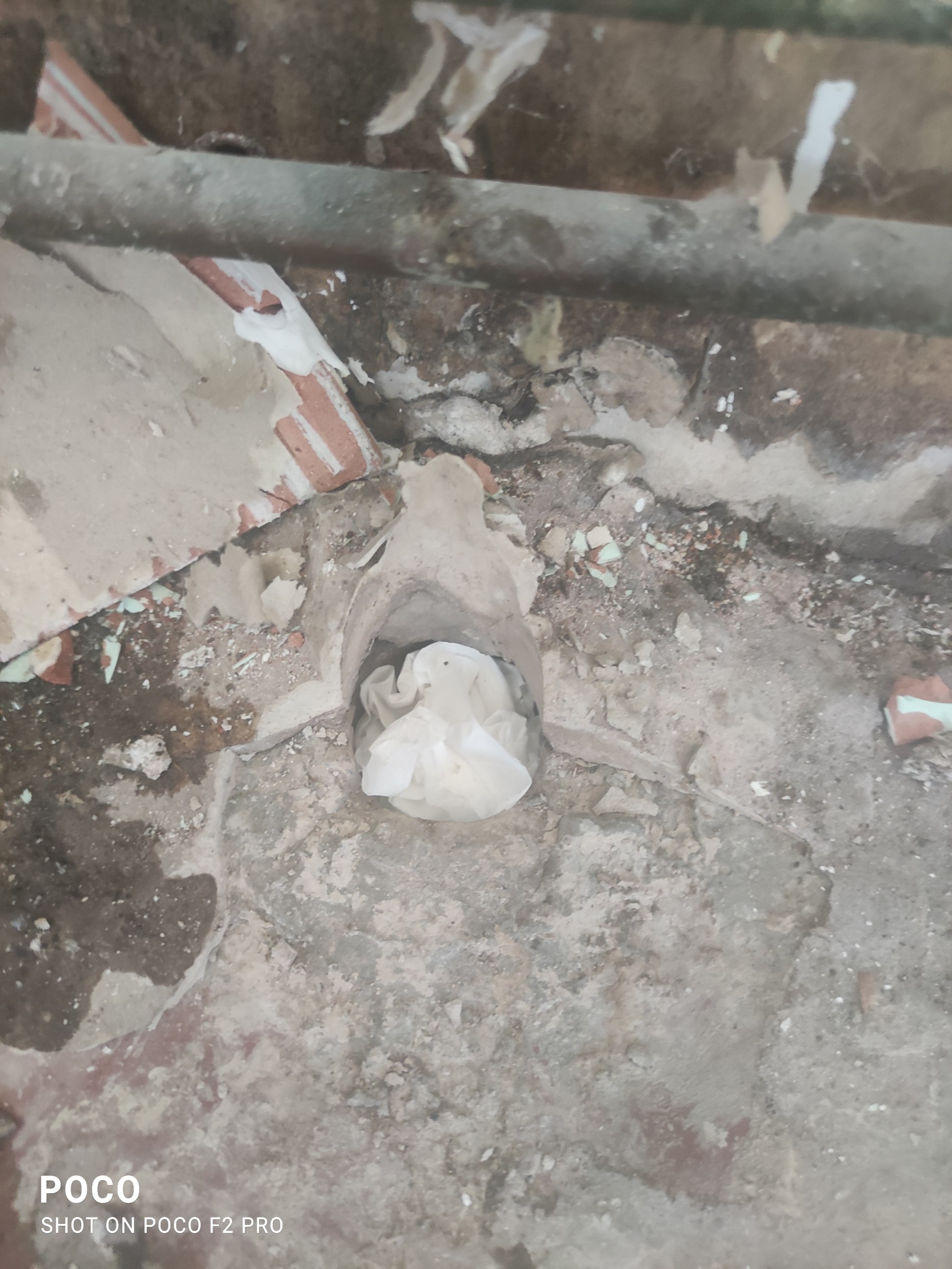 Photo n° 2 de l'avis de Adrien.a fait le 11/08/2022 à 17:28
