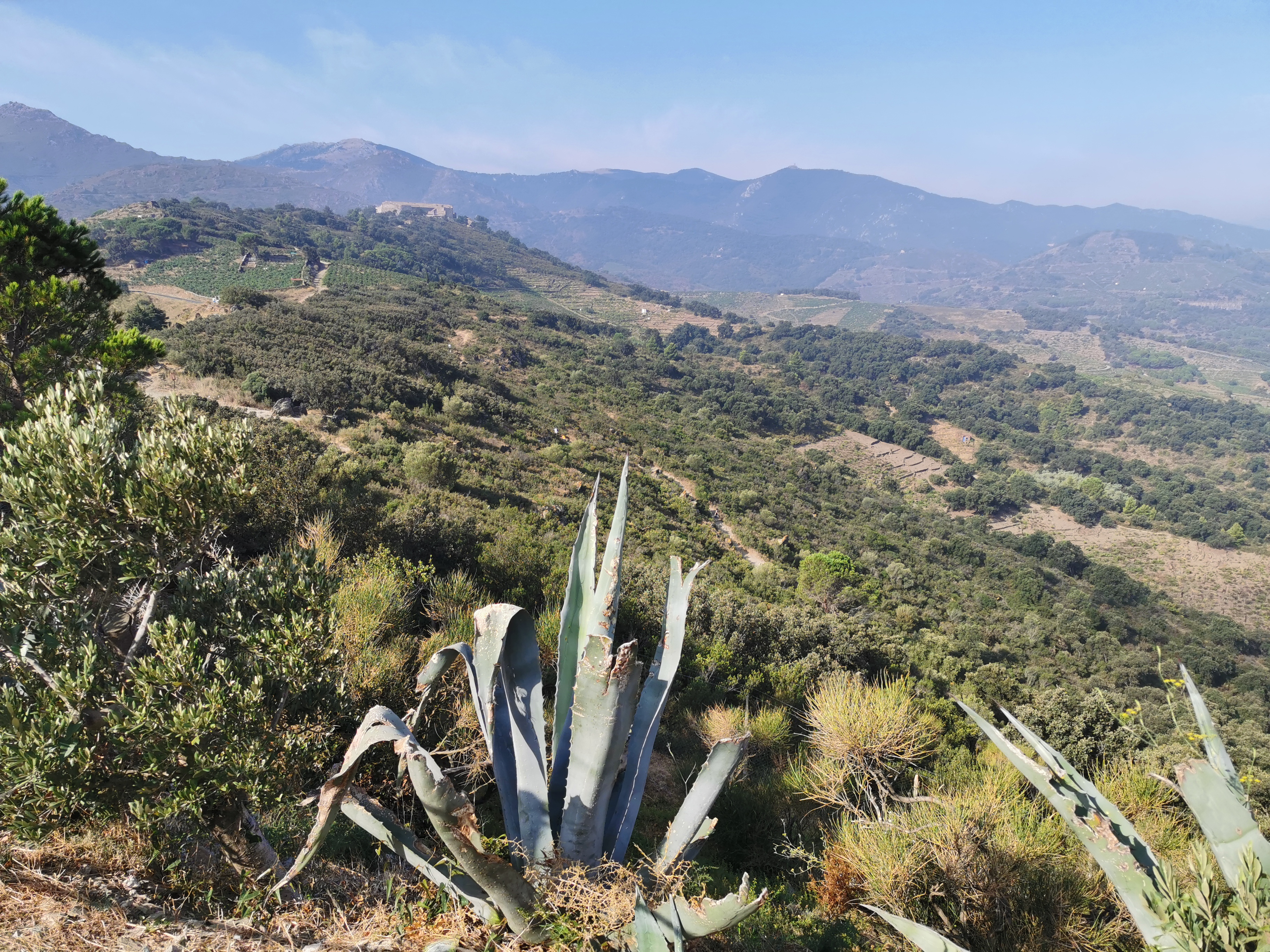 Photo n° 5 de l'avis de JAWADFOX. fait le 26/08/2019 à 12:06