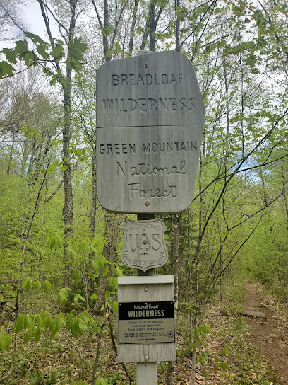 Skylight Pond Trail