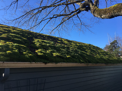 Roofing Contractor «Roof Life of Oregon», reviews and photos
