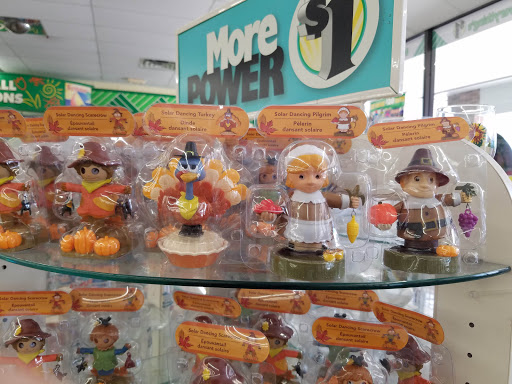 Dollar Store «Dollar Tree», reviews and photos, 341 S College Rd, Wilmington, NC 28403, USA