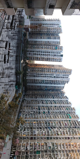 Google Maps image 13