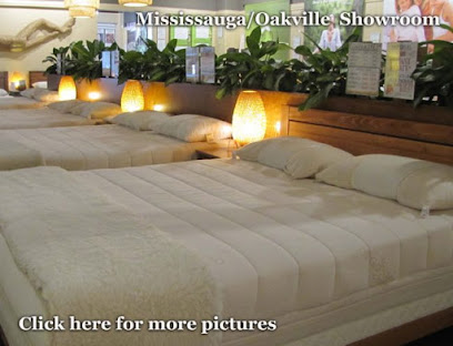 Dormio Organic Beds Mississauga