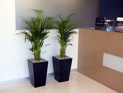 Envirostyle Indoor Plant Hire