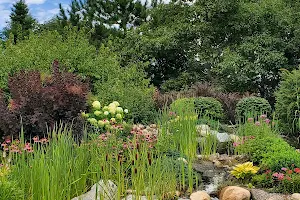 Irving Arboretum image