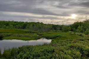 Little Belchers Pond Park image