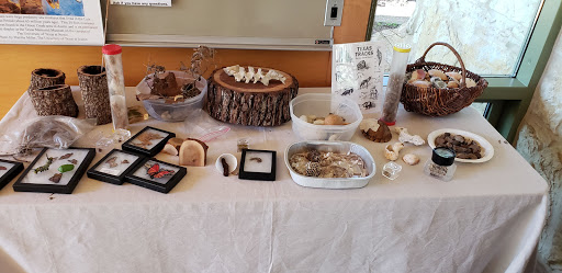 Non-Profit Organization «Westcave Outdoor Discovery Center», reviews and photos, 24814 Hamilton Pool Rd, Round Mountain, TX 78663, USA