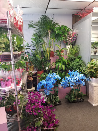 Florist «Park Floral Company», reviews and photos, 1055 Morris Park Ave, Bronx, NY 10461, USA