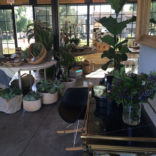 Florist «Camelback Flowershop», reviews and photos, 4108 E Indian School Rd, Phoenix, AZ 85018, USA