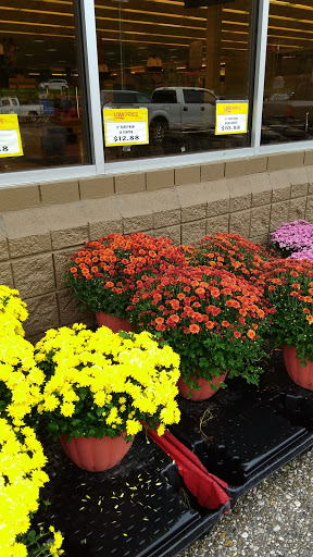 Grocery Store «Ingles Markets», reviews and photos, 194 at Vale Rd, Newland, NC 28657, USA