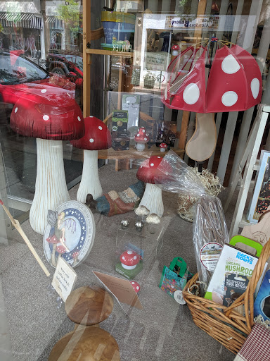 Gift Shop «The Mushroom Cap», reviews and photos, 114 W State St, Kennett Square, PA 19348, USA