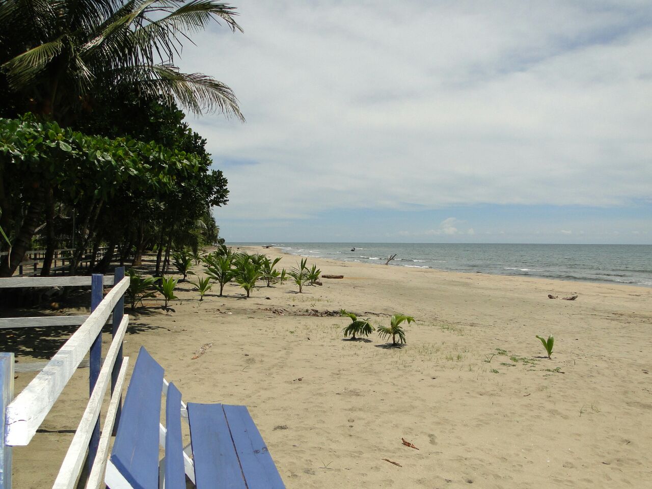 Photo of Belén Beach with very clean level of cleanliness