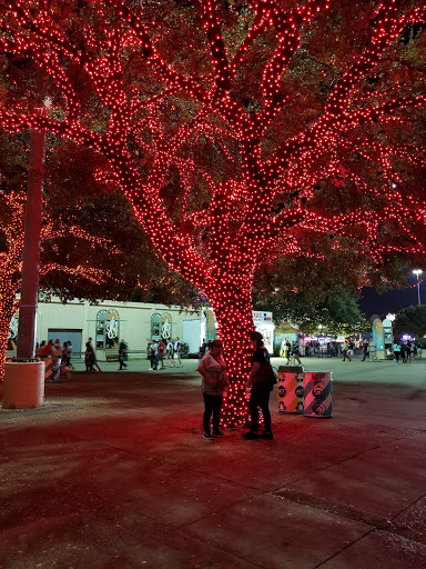 Tourist Attraction «Leonhardt Lagoon Nature Walk», reviews and photos, 1121 1st Ave, Dallas, TX 75210, USA