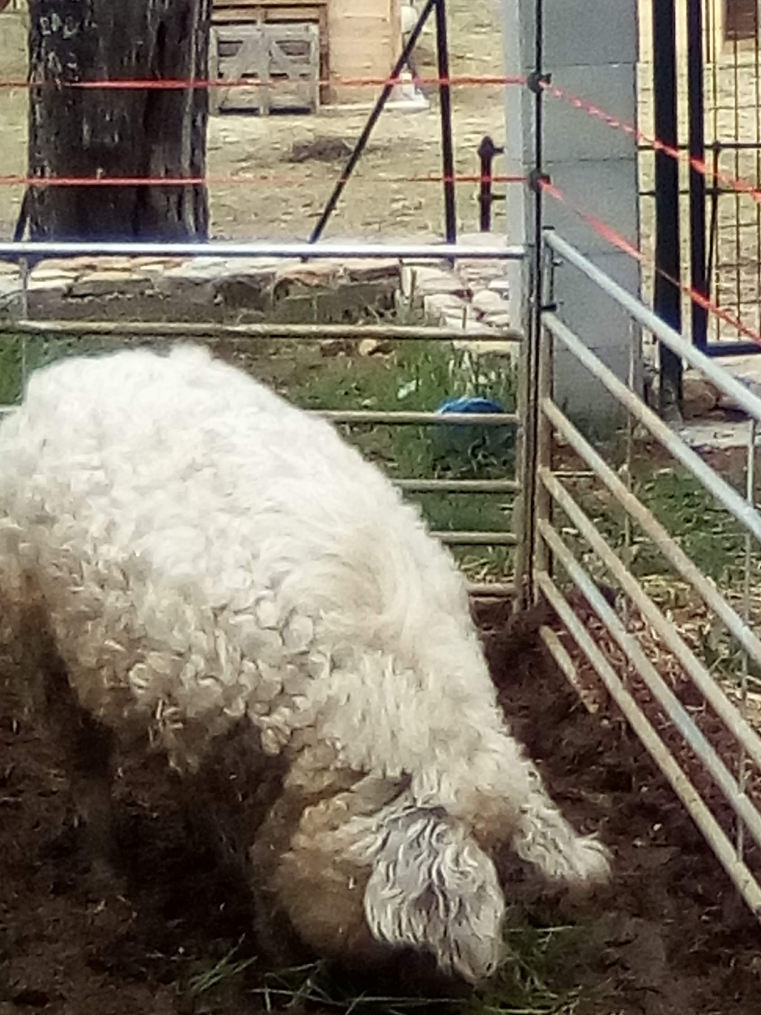 Photo n° 2 de l'avis de Laure.r fait le 10/04/2019 à 15:04