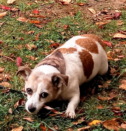 Heating Contractor «P.K. Wadsworth Heating & Cooling, Inc.», reviews and photos