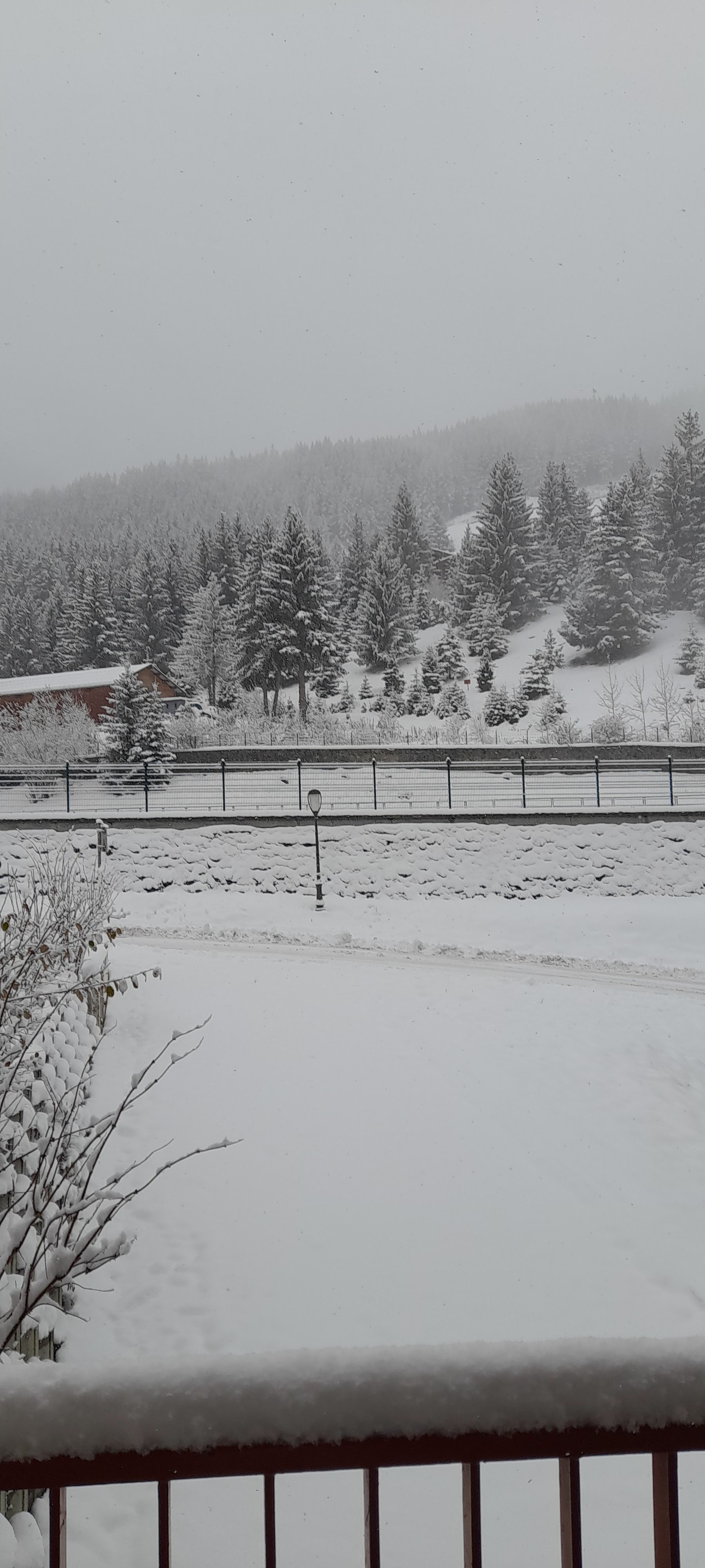 Photo n° 13 de l'avis de Jerome.a fait le 11/12/2022 à 15:20