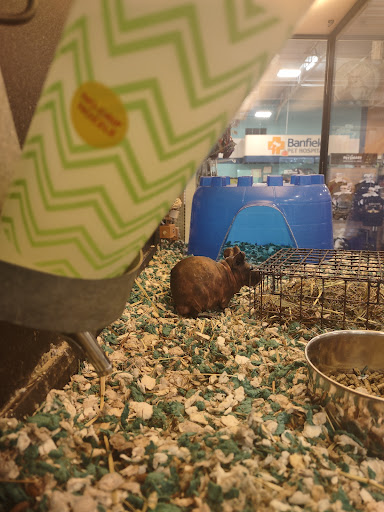 Pet Supply Store «PetSmart», reviews and photos, 5401 N Garland Ave, Garland, TX 75040, USA