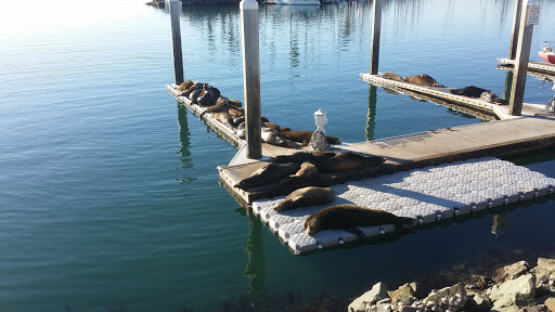 Oceanside Harbor Village image