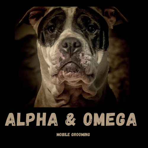 Alpha-Omega Mobile Pet Grooming