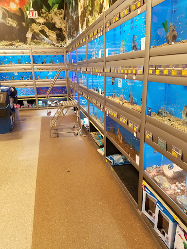 Pet Supply Store «PetSmart», reviews and photos, 114 Commerce Way, Woburn, MA 01801, USA