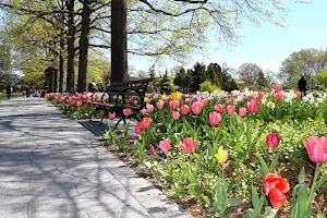 Queens Botanical Garden image