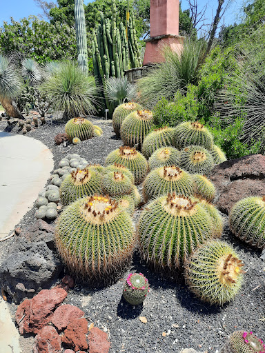 The Peacock Cafe at The Arboretum