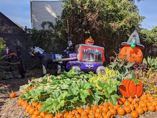 Florist «Blossom Time Florists», reviews and photos, 1868 Victory Blvd, Staten Island, NY 10314, USA