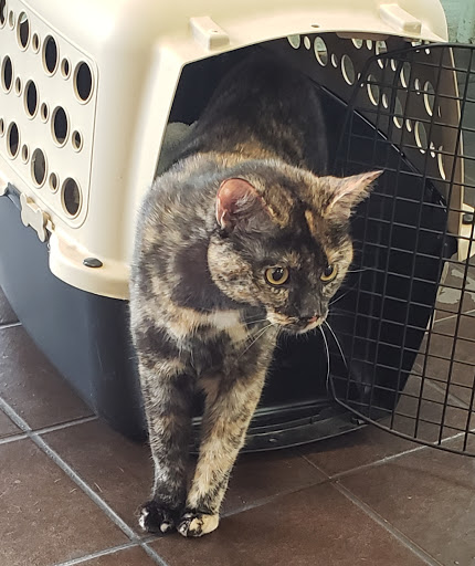 Pet Store «Pets Marketplace», reviews and photos, 2110 Paces Ferry Rd SE, Smyrna, GA 30080, USA